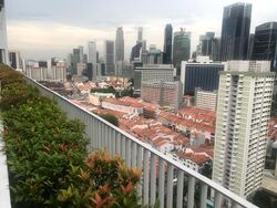 Blk 1A The Pinnacle@Duxton (Bukit Merah), HDB 4 Rooms #627904941